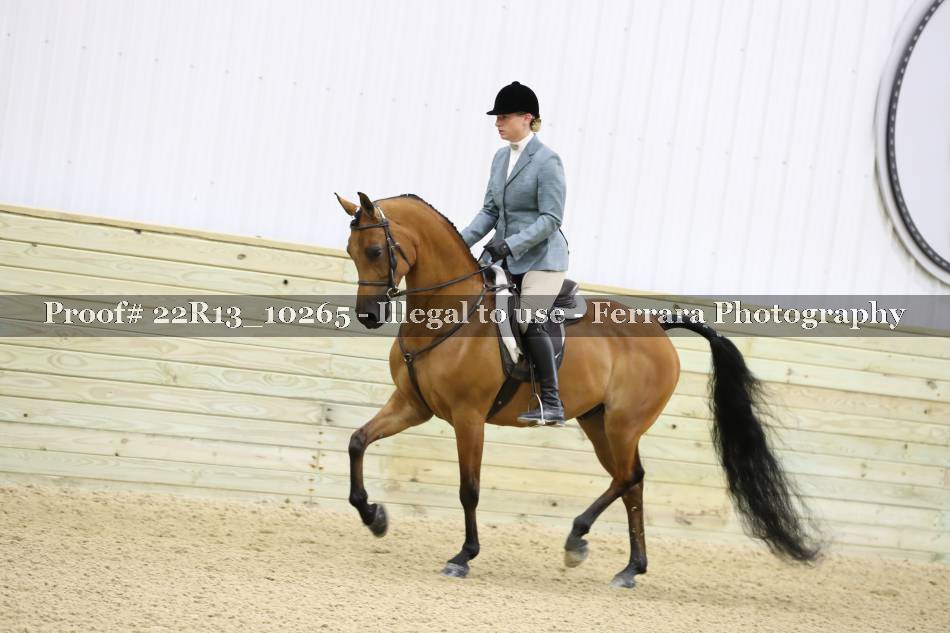 Proof 22R13_10265