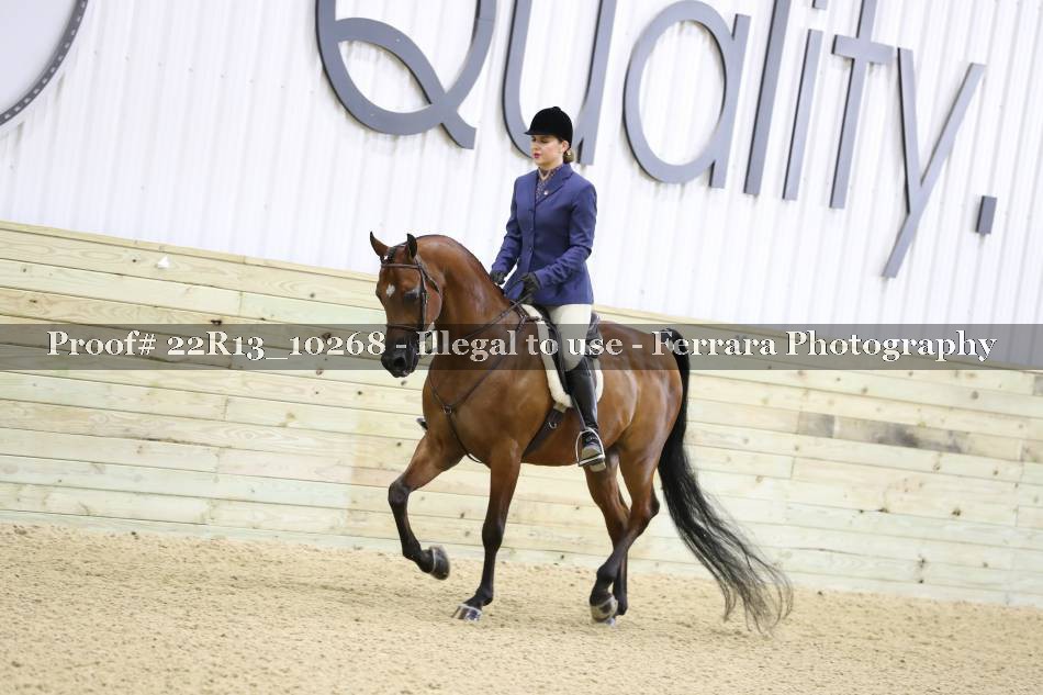Proof 22R13_10268