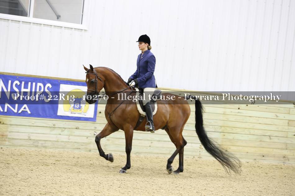Proof 22R13_10270