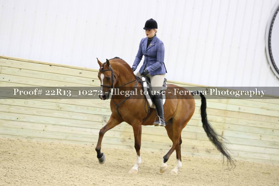 Proof 22R13_10272