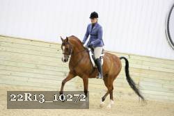 22R13_10272 proof