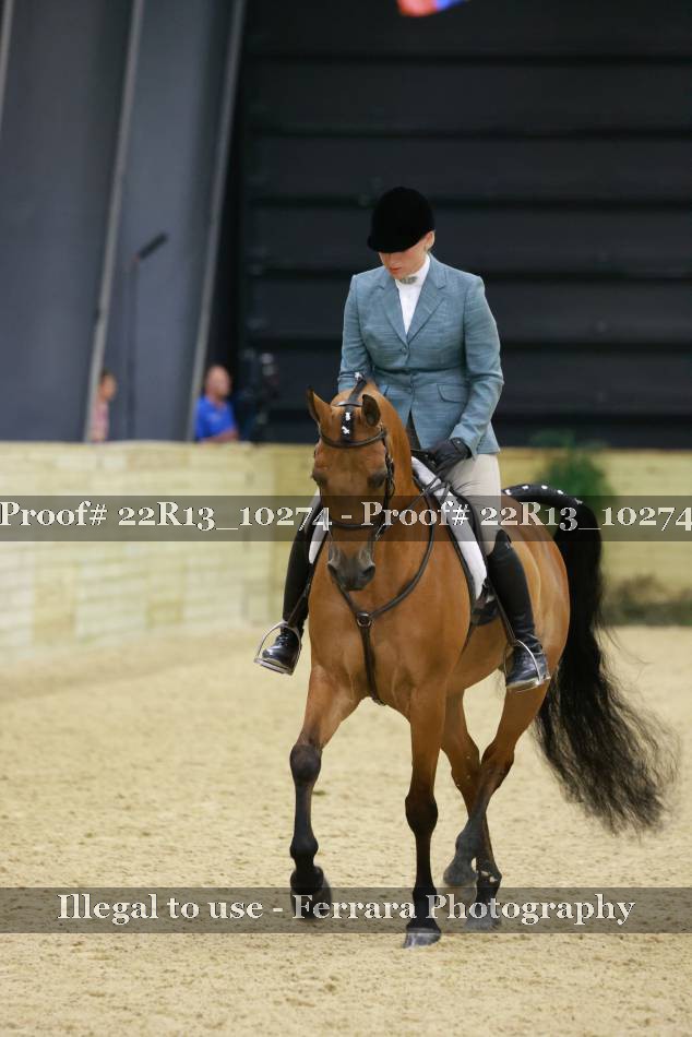 Proof 22R13_10274