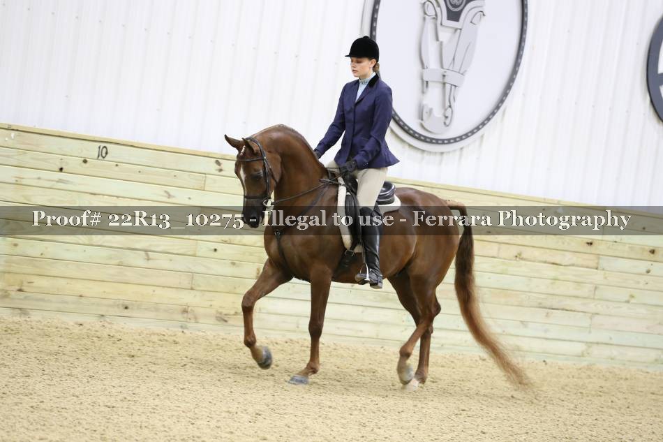 Proof 22R13_10275