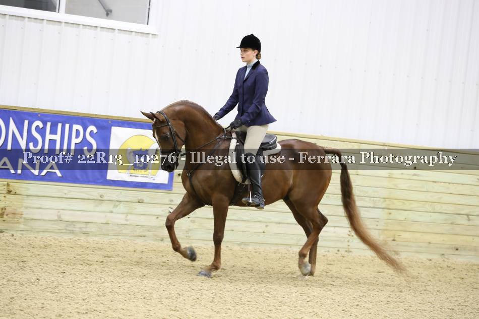 Proof 22R13_10276