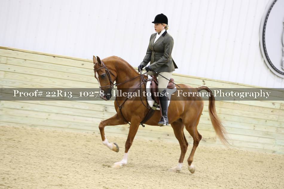 Proof 22R13_10278
