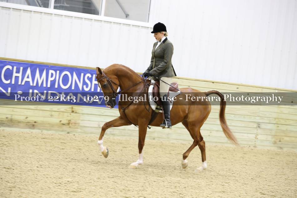 Proof 22R13_10279