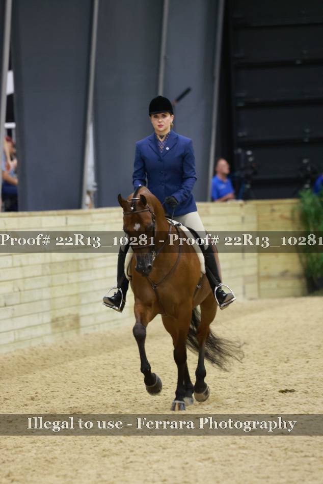 Proof 22R13_10281