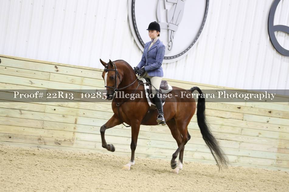 Proof 22R13_10285