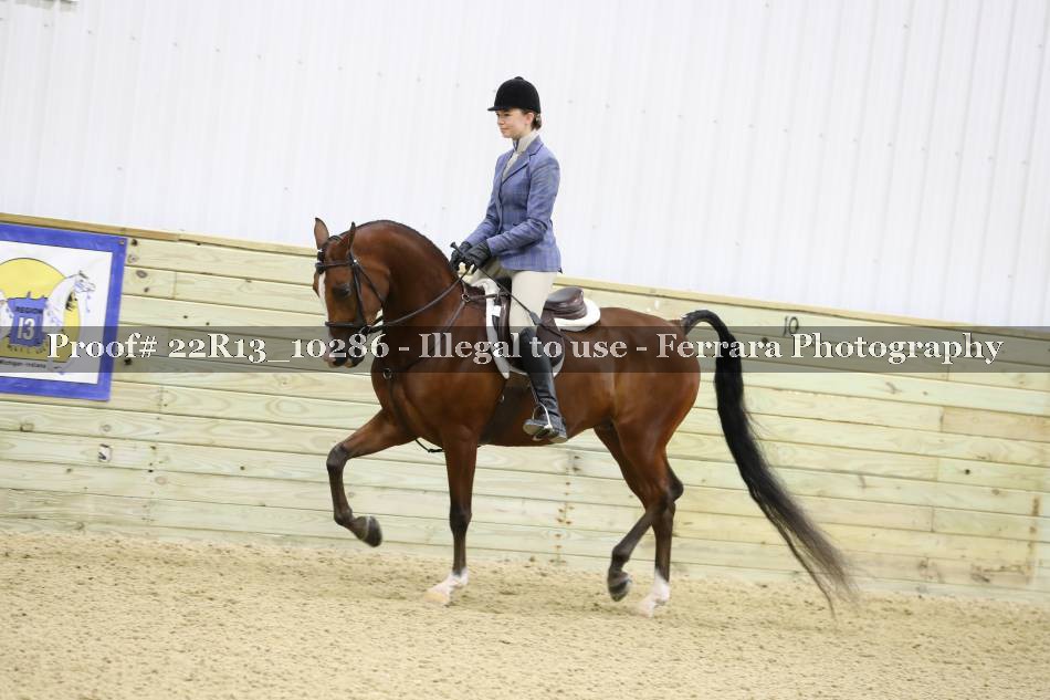 Proof 22R13_10286