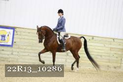 22R13_10286 proof