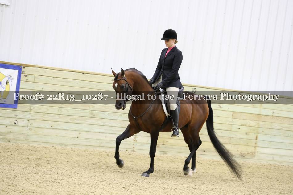 Proof 22R13_10287