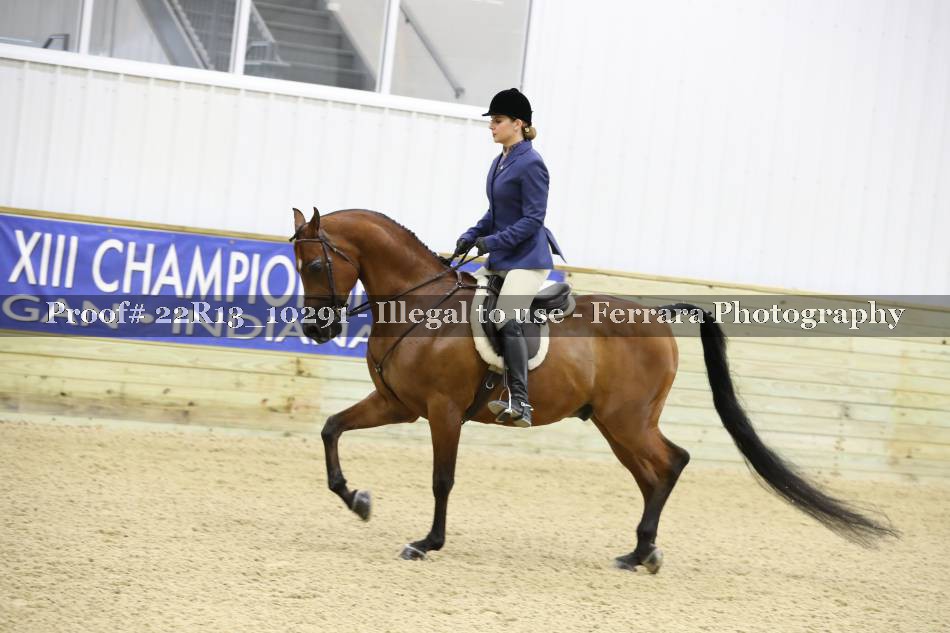 Proof 22R13_10291