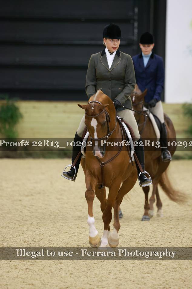 Proof 22R13_10292
