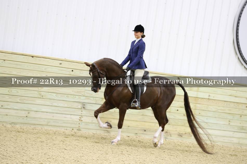 Proof 22R13_10293