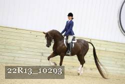 22R13_10293 proof