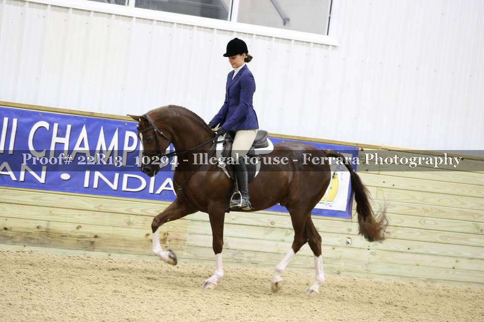 Proof 22R13_10294