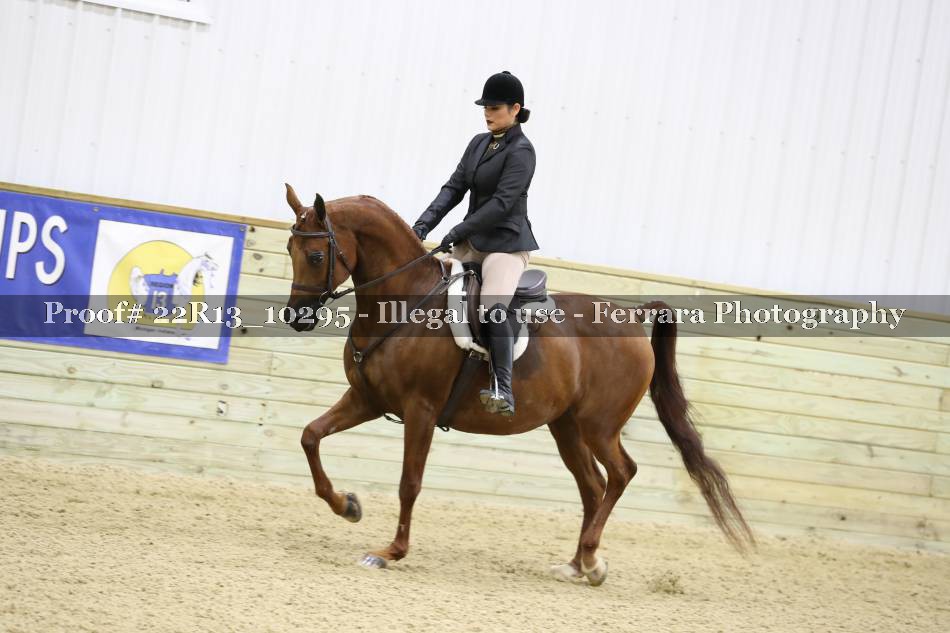 Proof 22R13_10295