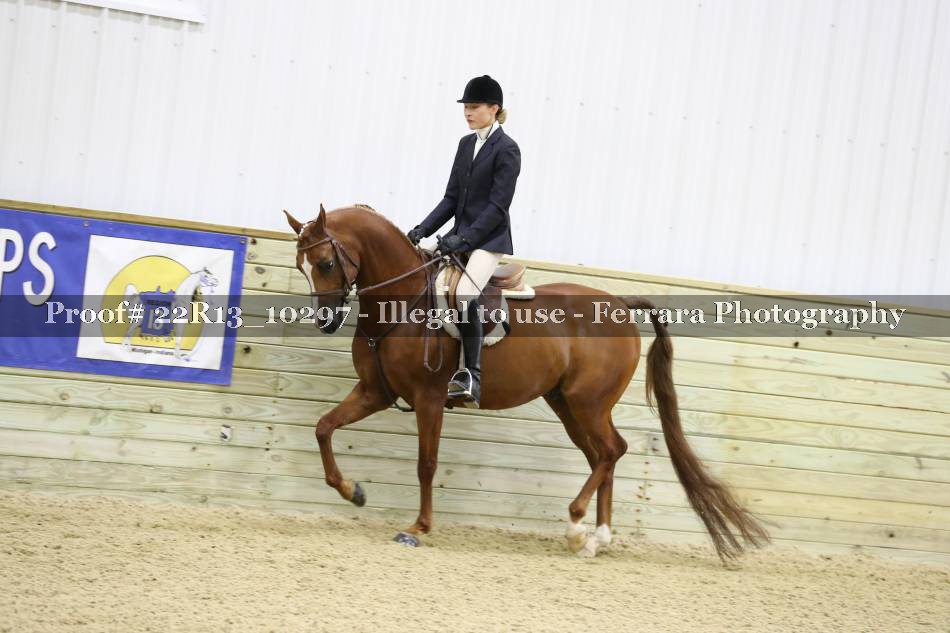 Proof 22R13_10297