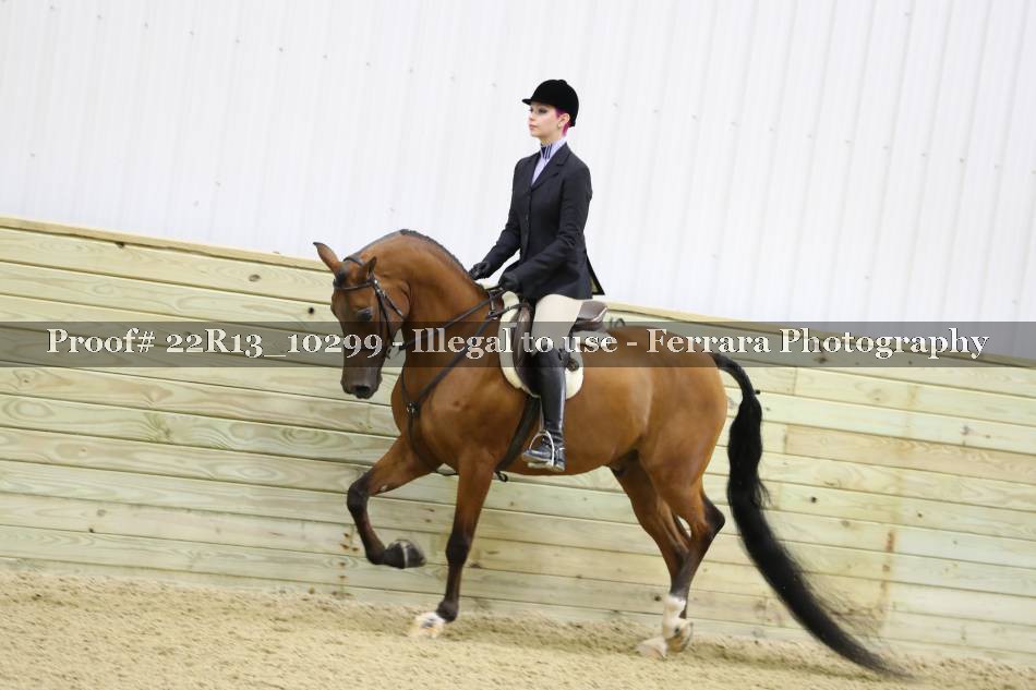 Proof 22R13_10299