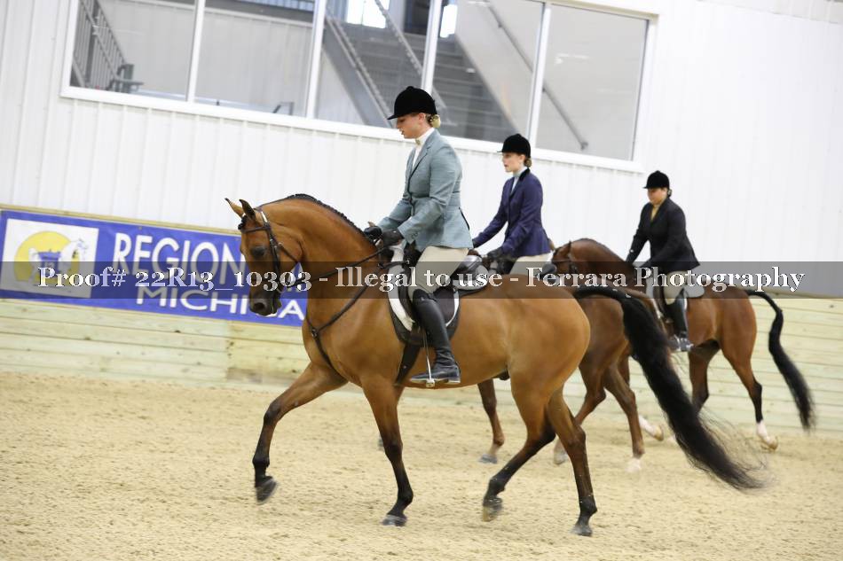 Proof 22R13_10303