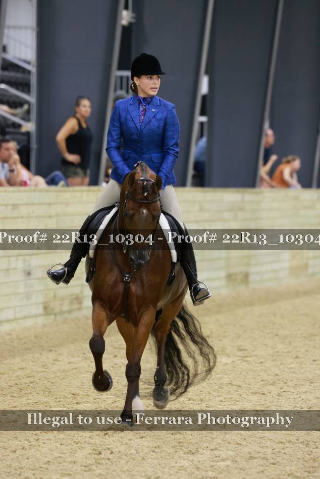 Proof 22R13_10304