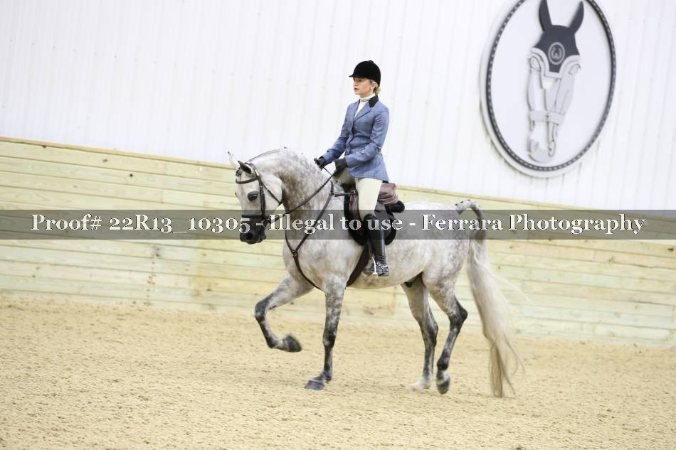 Proof 22R13_10305
