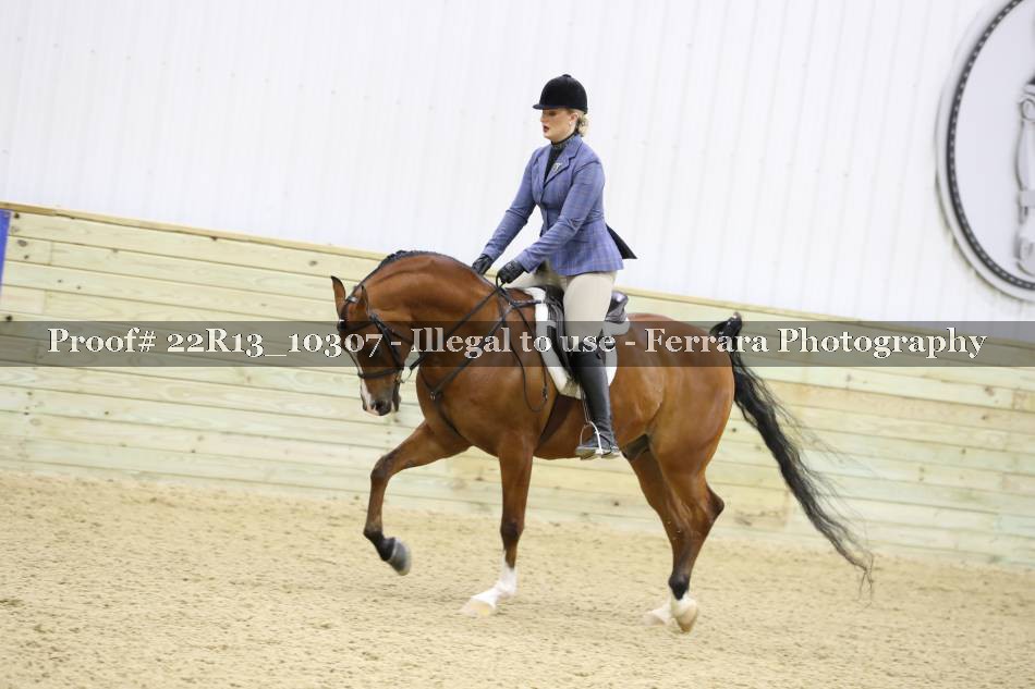 Proof 22R13_10307