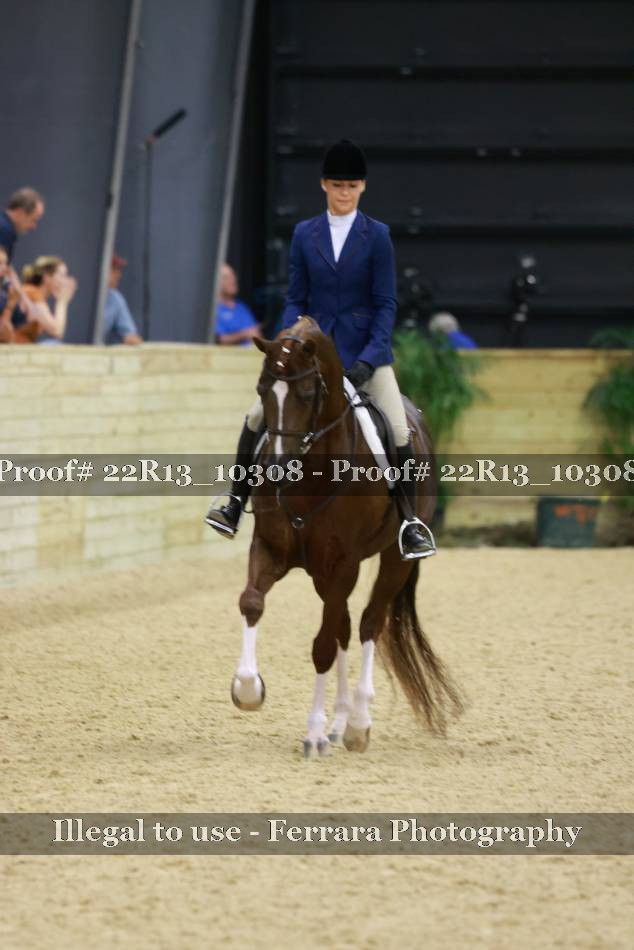 Proof 22R13_10308