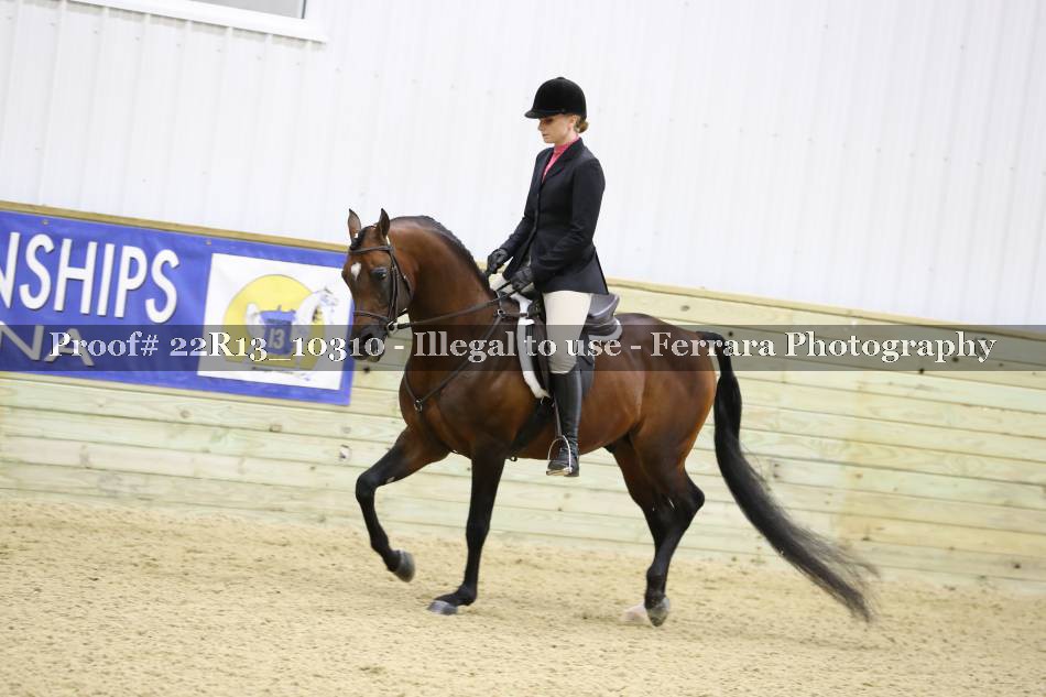Proof 22R13_10310