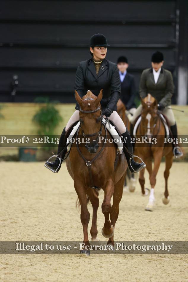 Proof 22R13_10312