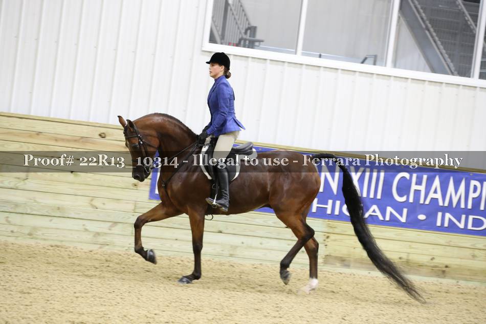 Proof 22R13_10314