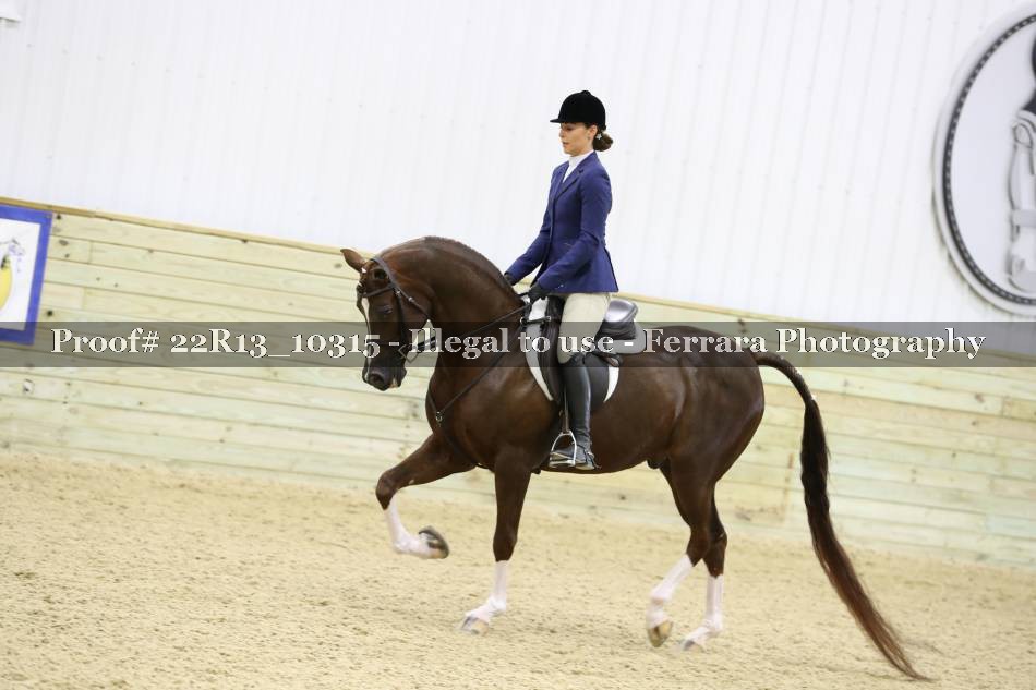 Proof 22R13_10315