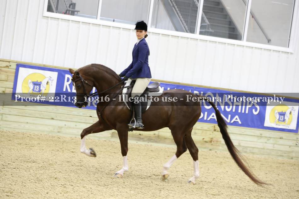 Proof 22R13_10316
