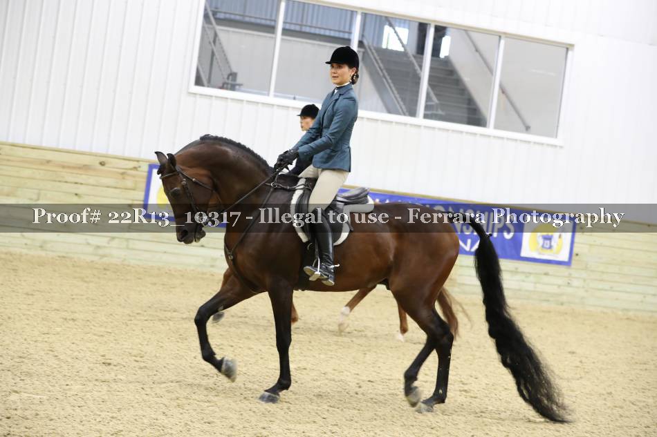Proof 22R13_10317