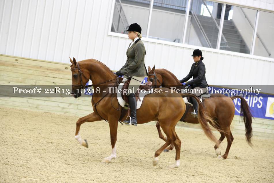 Proof 22R13_10318