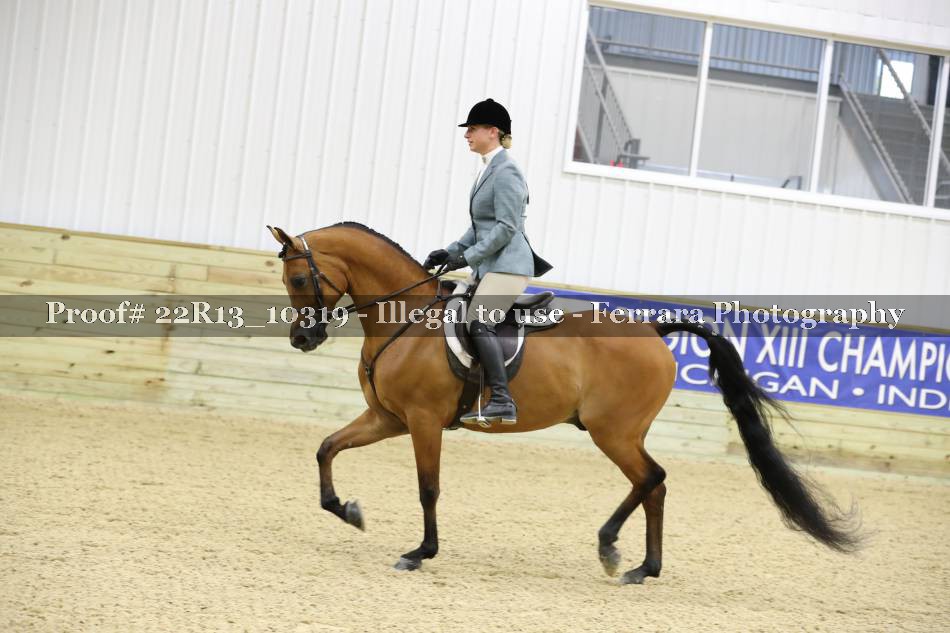 Proof 22R13_10319