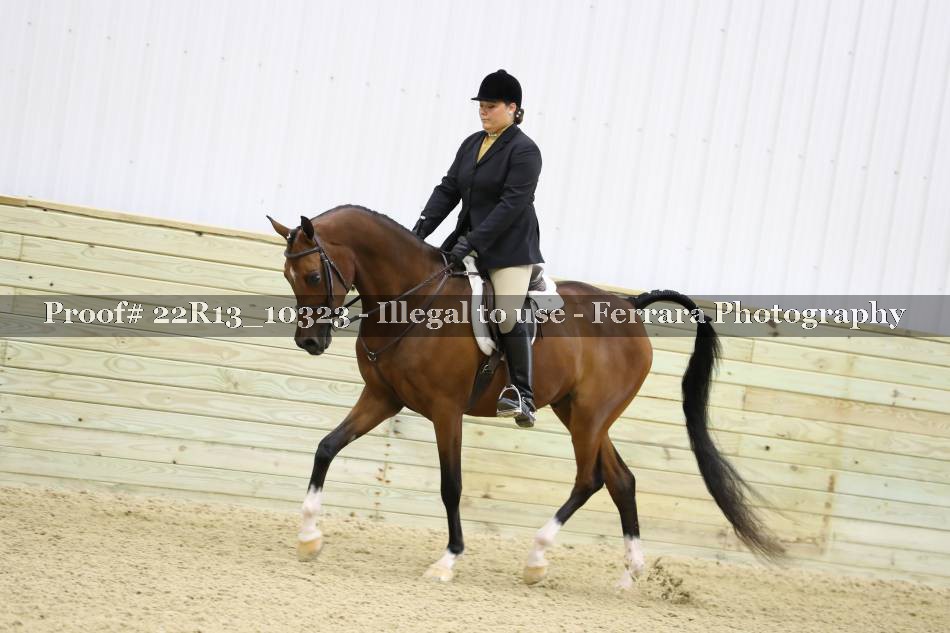 Proof 22R13_10323