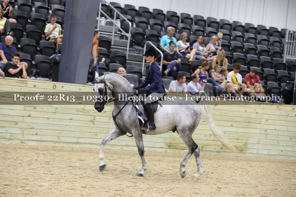 Proof 22R13_10330