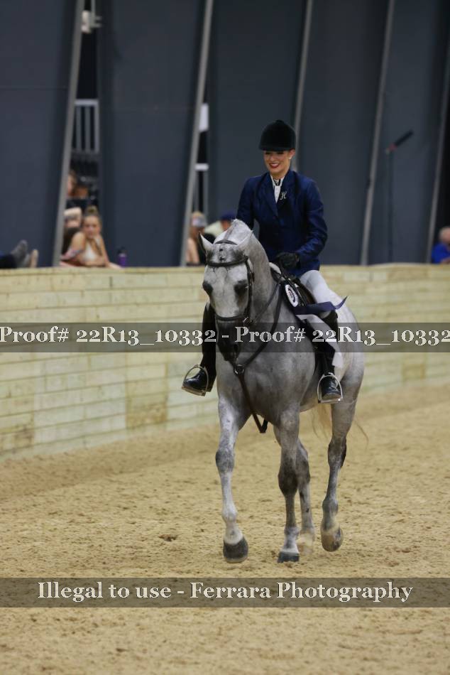 Proof 22R13_10332