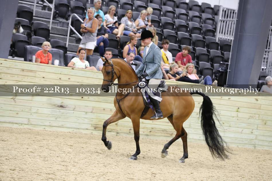 Proof 22R13_10334
