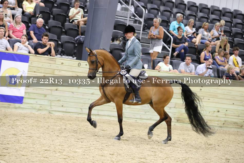 Proof 22R13_10335