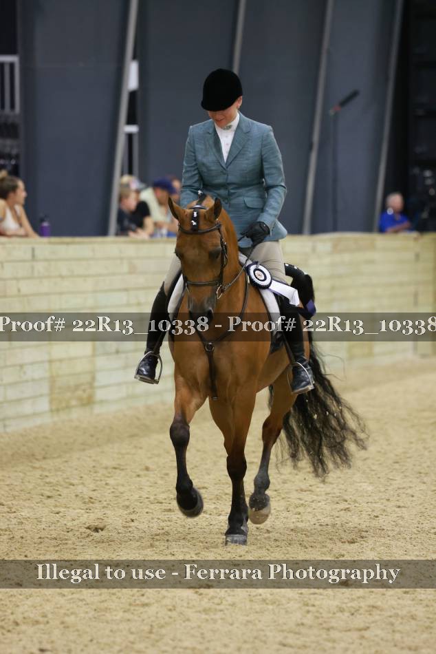 Proof 22R13_10338