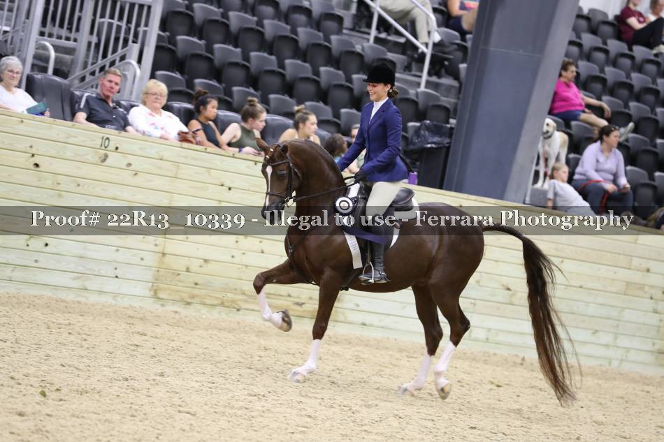 Proof 22R13_10339