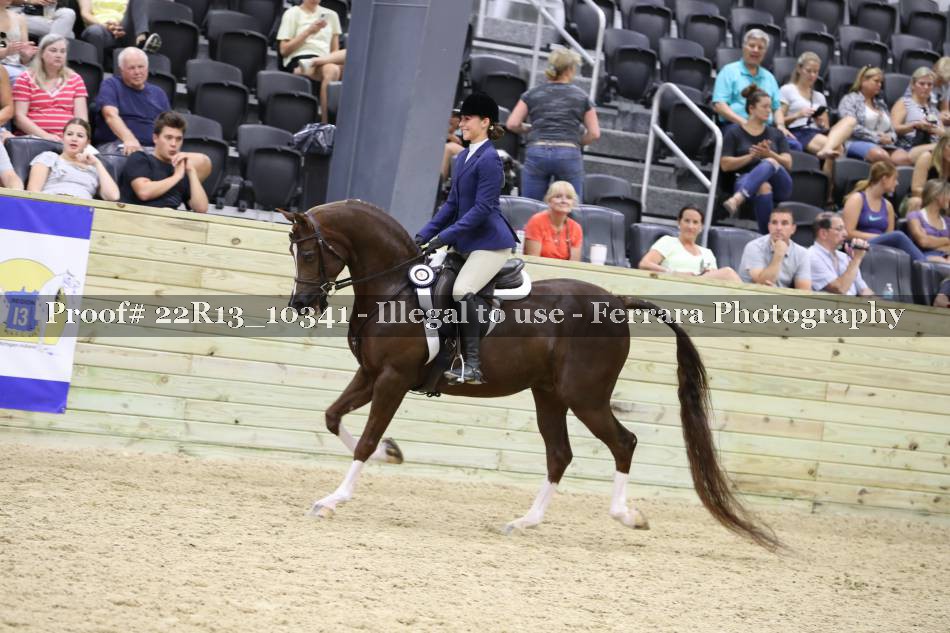 Proof 22R13_10341