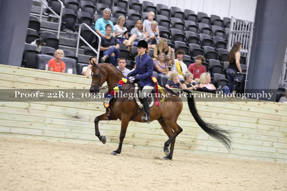 Proof 22R13_10351