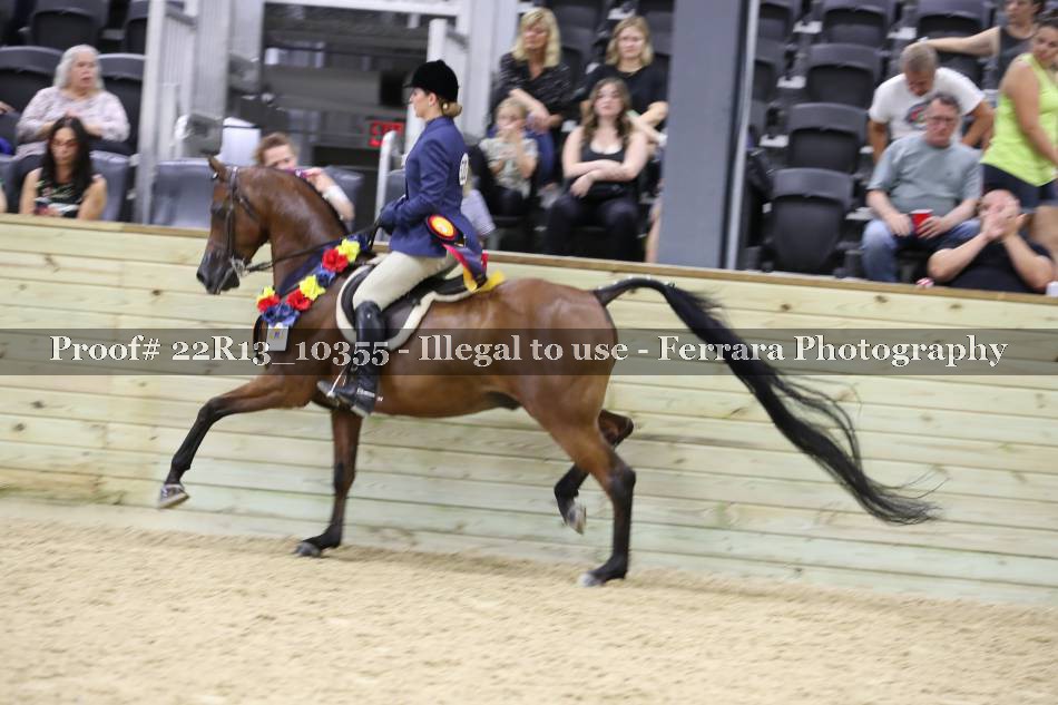 Proof 22R13_10355