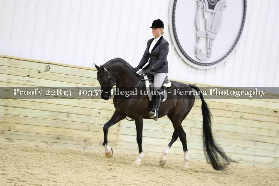 Proof 22R13_10357