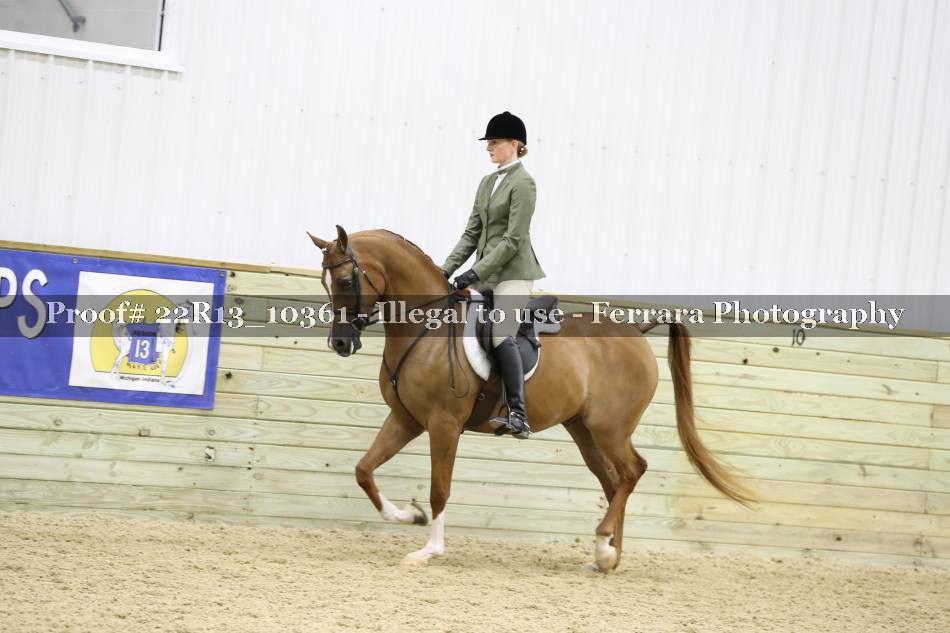 Proof 22R13_10361