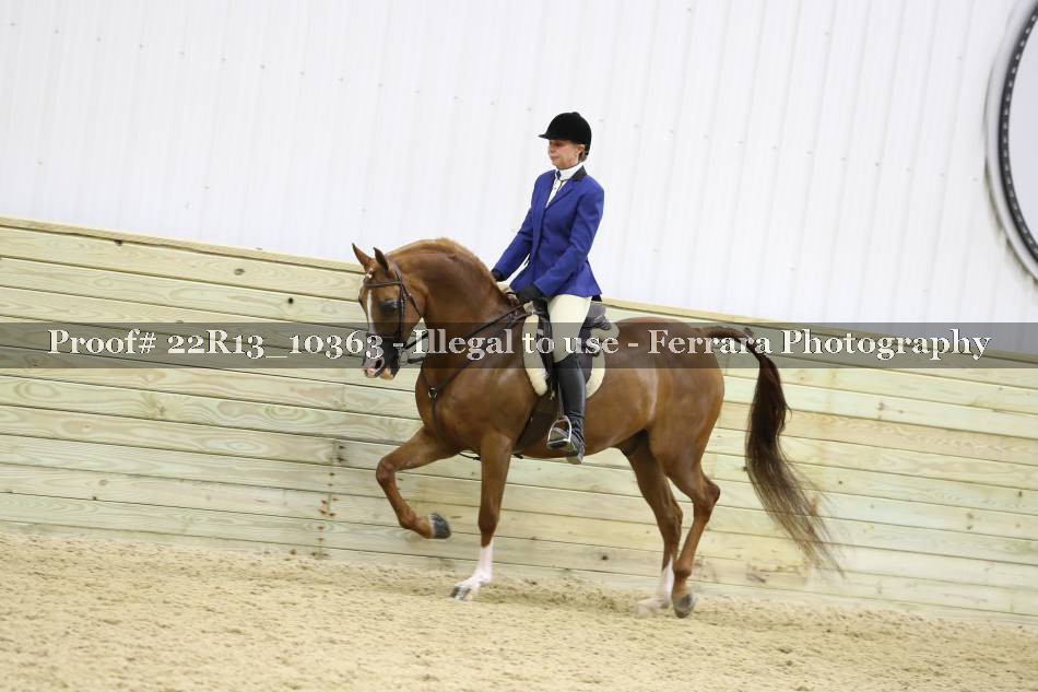 Proof 22R13_10363