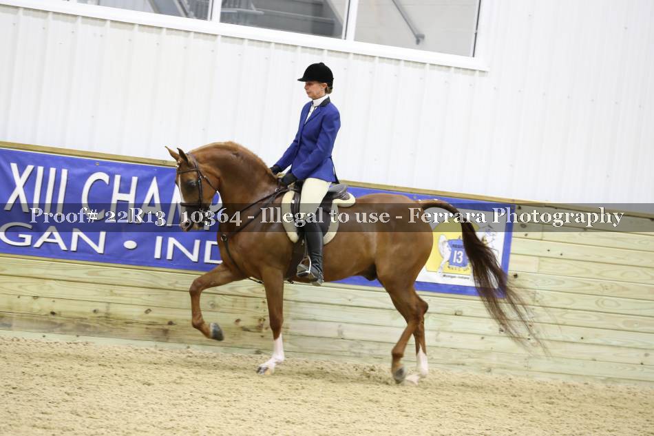 Proof 22R13_10364
